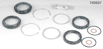 Front Fork Seal Kit 49mm forks (FR)