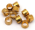10pck Goodridge Oil line olives (FR)