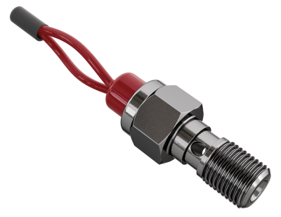 Brakelight bolt M10x1.00 Stainless steel (FR)