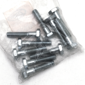 10pck hex bolt 1/4-20x1-1/4" UNC zinc (FR)