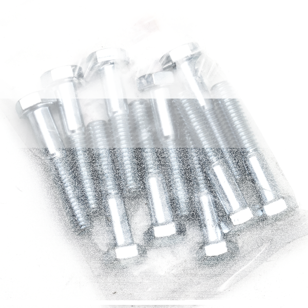 10pck hex bolt 5/16-18x1-3/4" UNC zinc (FR)