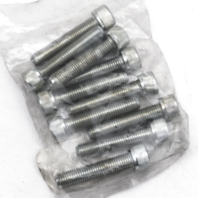 GZP 10pck allen bolt 5/16-24x1-1/2" zinc (FR)
