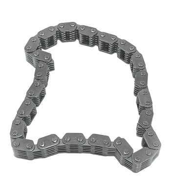 Cam chain, primary TC99-06 (FR)