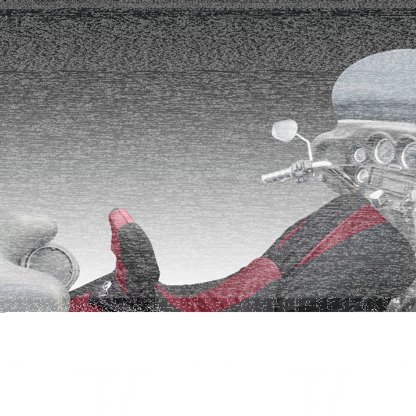 Bikesheath Seat/tankcover L blk/burgundy (FR)