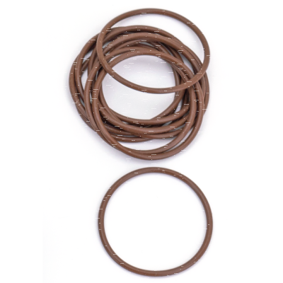 10PCK TPS SENSOR O-RING TC06-13 (FR)