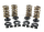 Valve Spring Kit TC/EVO/XL 1.15" 180@1.8 (FR)