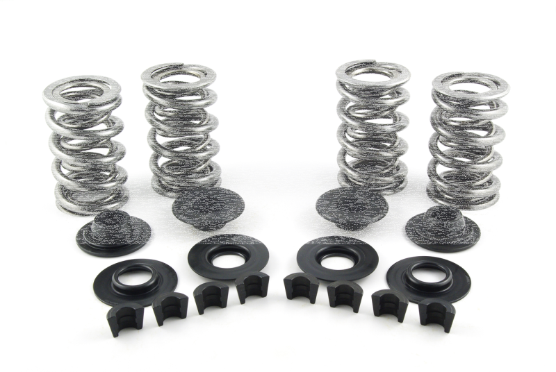 Valve Spring Kit 7mm .650" lift (FR)