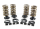Valve Spring Kit TC.EVO.XL 1.08" 185@1.8 (FR)