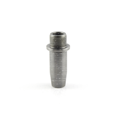 Valve guide EX XL57-83 +.002" (FR)