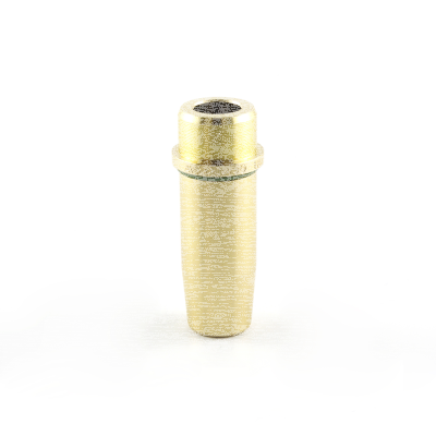 Valve guide In/Ex Shovel 1340 Std (FR)