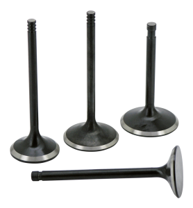 Valve EX TC 7mmx1.575"x4.555" Black nitr