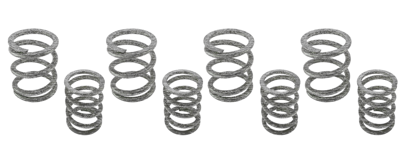 Valve spring kit BT66-84 (FR)