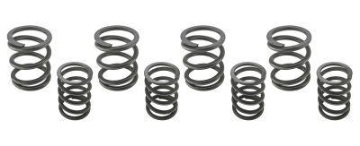 Valve spring kit BT66-84 (FR)