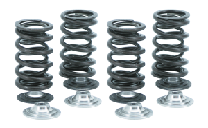 Valve Spring kit w/titan TC05-up XL04-up (FR)