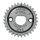 Pinion gear TC99-06 Undersized (FR)