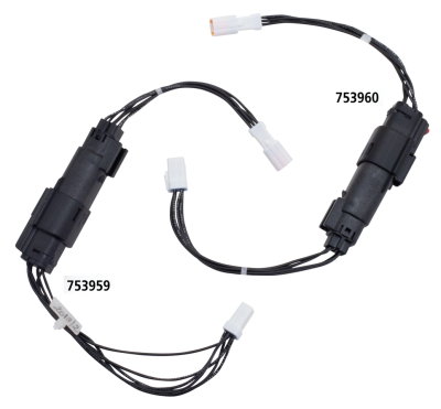RBW Skull adapter cable 2014-2015 (FR)