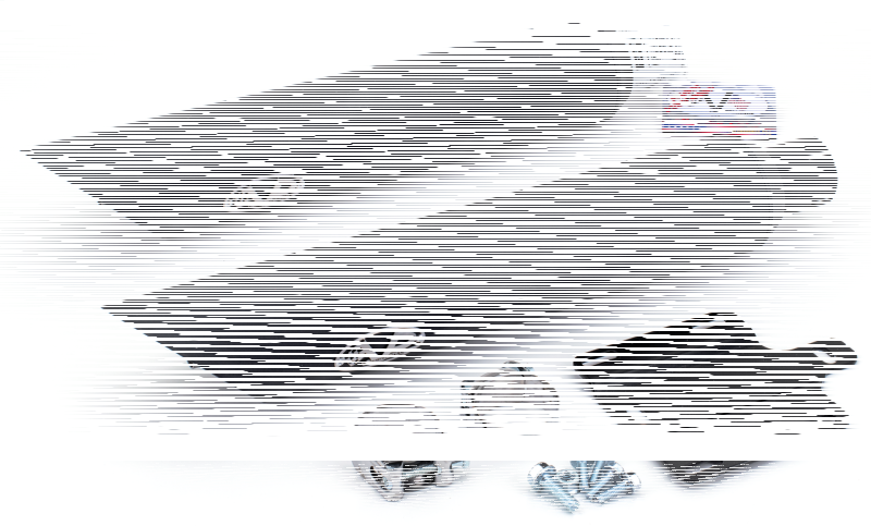 Twin Slash/Cut Dark mfflr set D. 80mm Sc (FR)