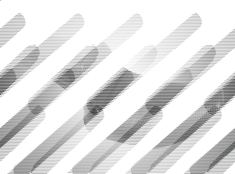 TailWhip Black BW FXR82-00 (FR)