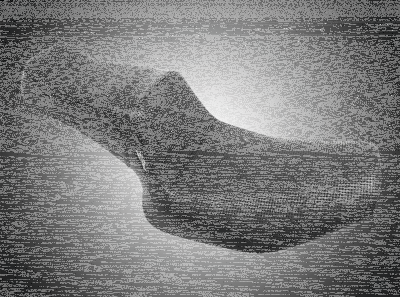 TailWhip Black BW FXR82-00 (FR)