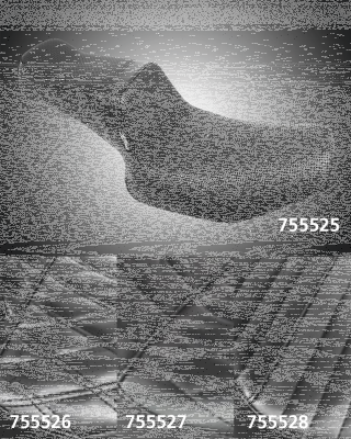 TailWhip Black BW FXR82-00 (FR)