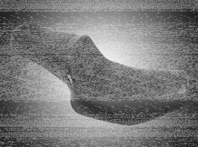 TailWhip Black DM FXR82-00 (FR)