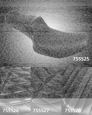 TailWhip Black DM FXR82-00 (FR)