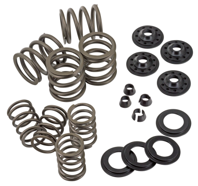 Complete Valve spring kit OHVBT36-47 (FR)
