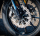 11.5" Floating Wave RR Brake Disc Steve (FR)