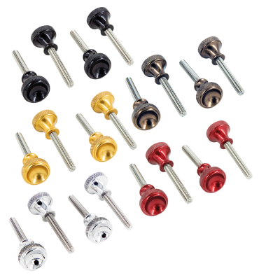 P16 SPORTSTER SIDE COVER SCREWS Gold (FR)