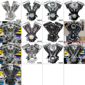 S&S V80 engine Natural no ign./no carb (FR)