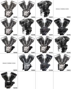 T124A engine, silver, No Induction/Ign (FR)