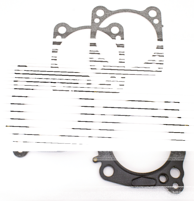 M8 H/G PR 4.200" .040"MLS BORE 4.220" (FR)
