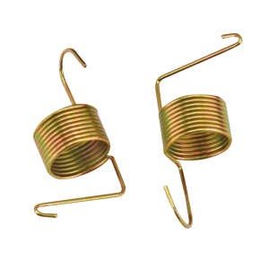 Comp master replacement spring kit (FR)