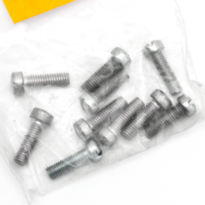 10pck Fillisterhead screw 10-32x5/8, WhP (FR)