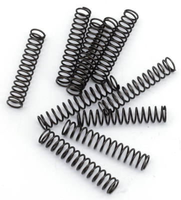 10pck pawl spring