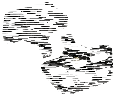 JM PA Floorboards Serr. Blk Scout15-Up (FR)