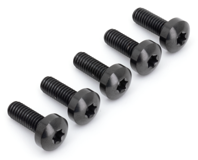 Brake Rotor FR Bolts Titanium Black (FR)