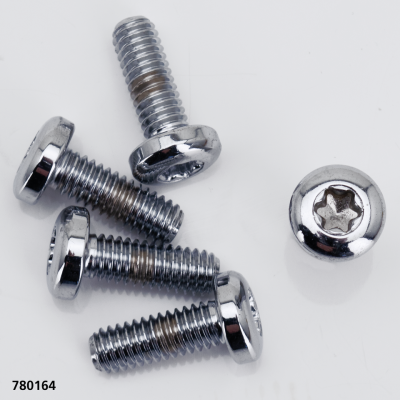 Disc screw set 5/16-18x7/8" TXBH chrome (FR)
