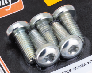 Disc screw kit RR All97-up Spk Zinc (FR)