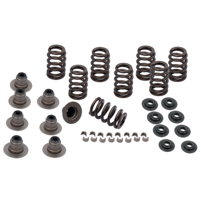 S&S .605" valve spring kit ME17-up (FR)