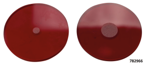 Lens set inserts tail/stoplight WLC1942 (FR)