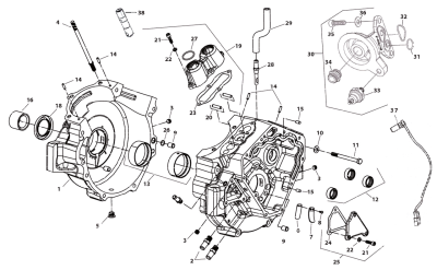 Gasket,Reed Pocket,X-Wedge (FR)
