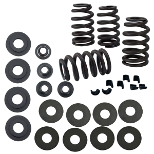 Valvespring kit .585" (FR)
