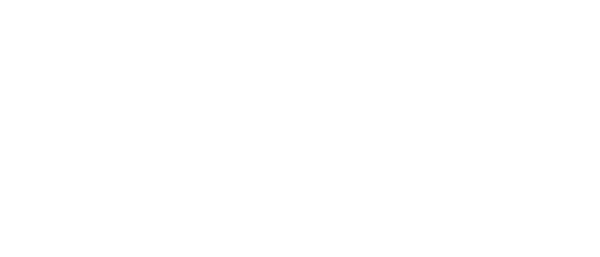 Starter armature Hitachi style (FR)