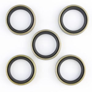 5pck oil seal #12068 (FR)