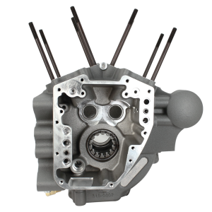 CVO 110 stock bore crankcase stone gray (FR)