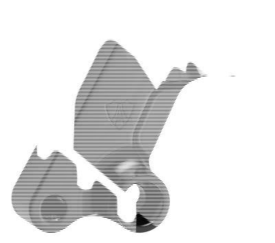 Right Cal adap FXD 00-05 with 11,5 rotor (FR)