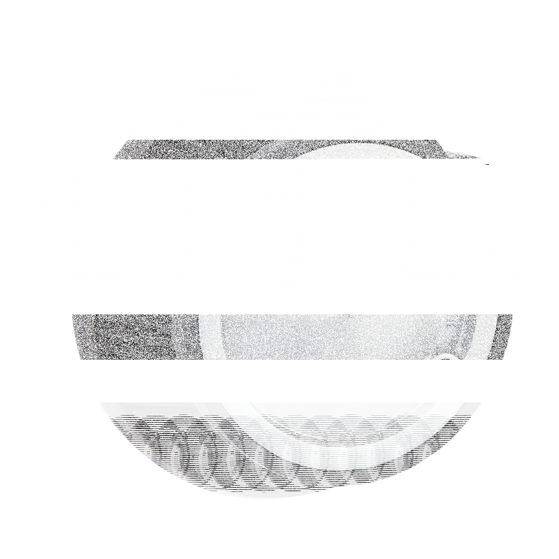 BIG SUCKER STG-I SS/BLACK BT93-99 (FR)