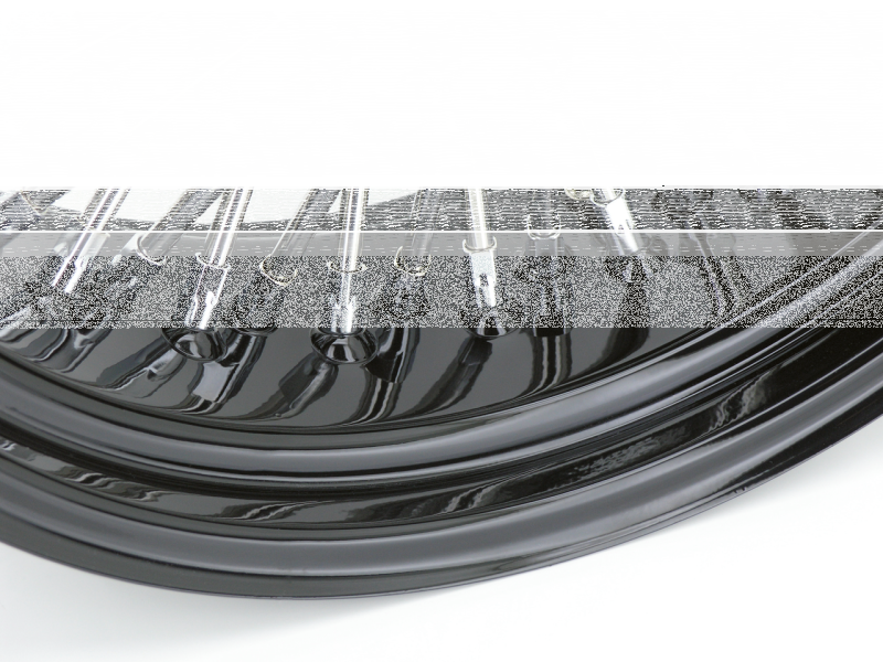 Black spoke Fat Daddy 50 19x3 (FR)