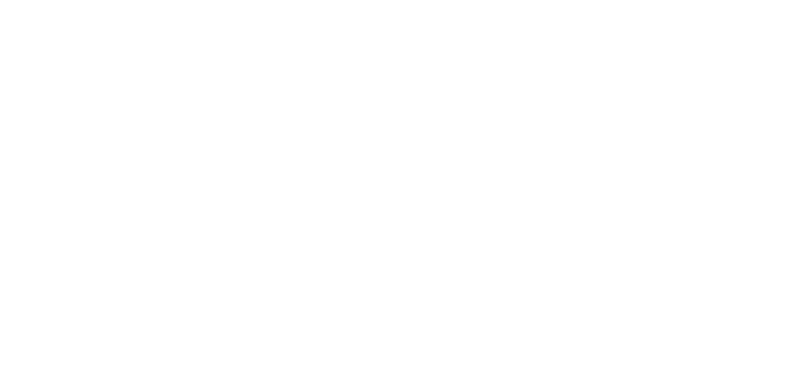 2-STEP S/Os/SLASH CH/PITCH BK CHLNGR20 (FR)